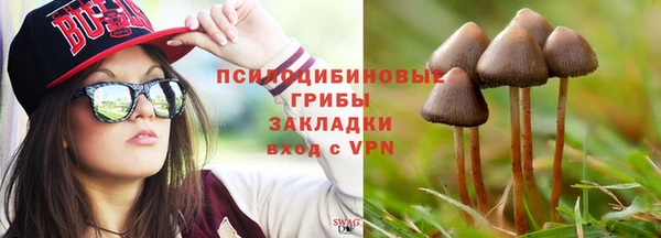 spice Абинск