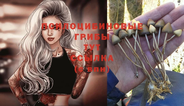 spice Абинск