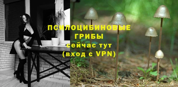 spice Абинск
