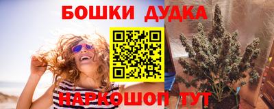 ПСИЛОЦИБИНОВЫЕ ГРИБЫ Краснознаменск