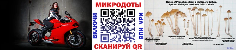 Псилоцибиновые грибы GOLDEN TEACHER  Зеленодольск 